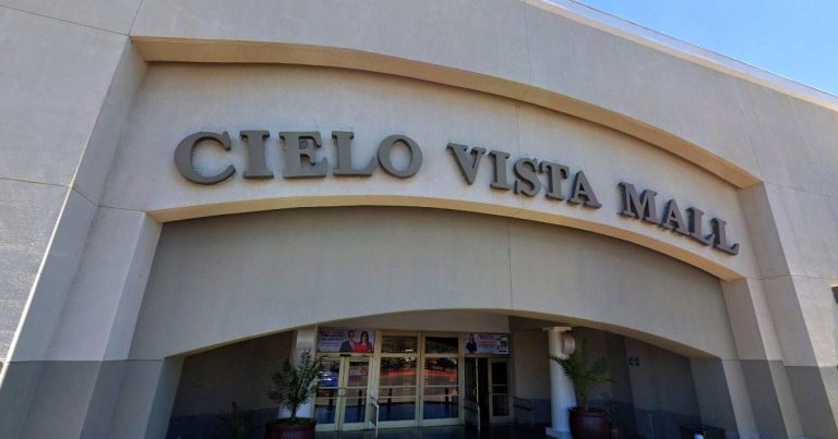 Mass Shooting at Cielo Vista Mall in El Paso, Texas
