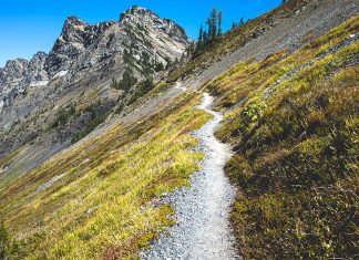 Hiking the Pacific Coast Trail