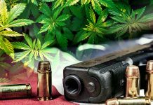 ATF Says Pot Users Cannot Legally Possess Firearms
