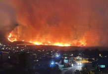 Hawaii’s Wildfires Expose Government’s Broken Preparedness System