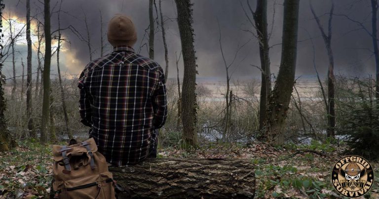 A Comprehensive Guide to Wilderness Survival