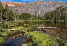 Colorado family fleeing COVID in Wilderness dies of malnutrition & hypothermia