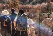 Building a Survival Network in Troubled Times