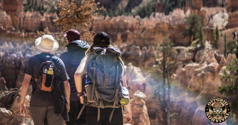 Building a Survival Network in Troubled Times
